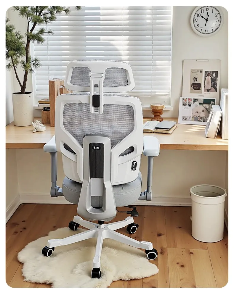 

Teen Study Chair Ergonomic Design Home Desk Chair for Students Writing Homework Comfortable Seat
