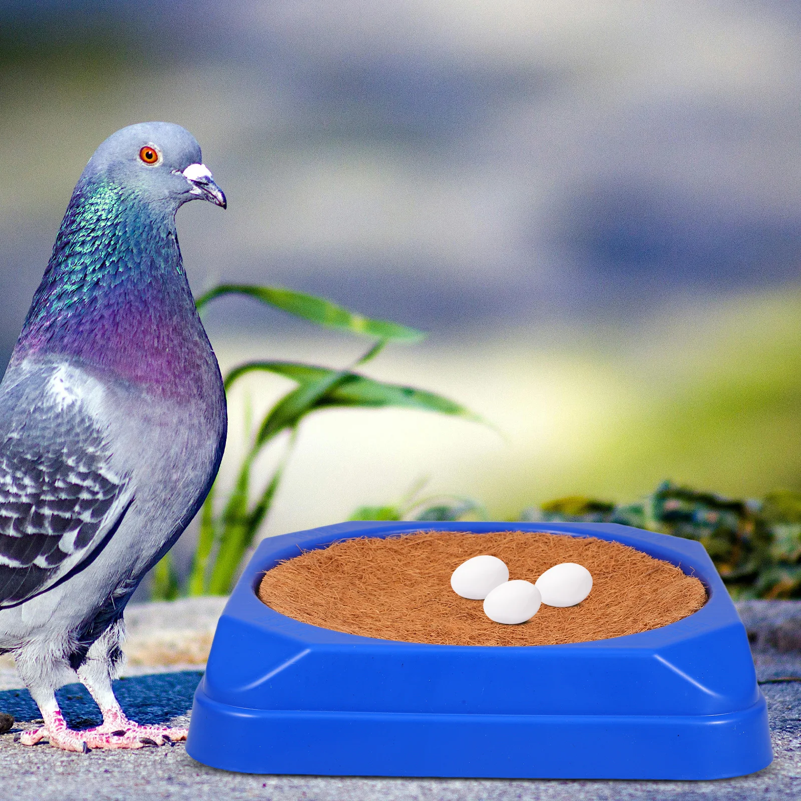 

Pigeon Nest Grass Dove Terrarium Bird Nests Plastic Egg Incubator Holder Breeding Bowls Durable Comfortable AntiTipping for Cage