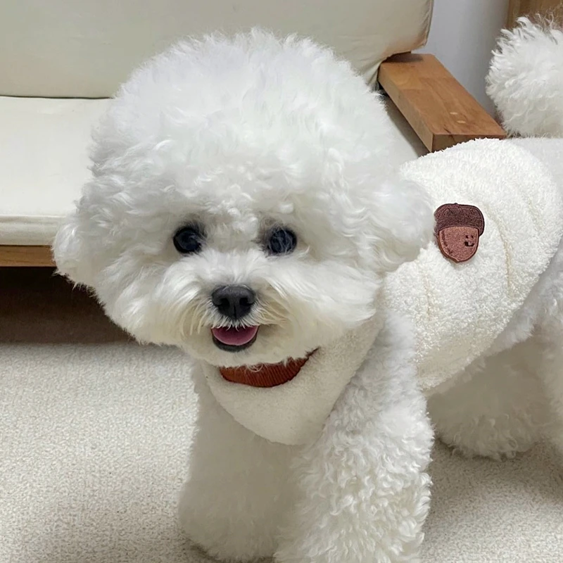 Puppy Jacket Pet Warm Clothes Teddy Winter Pullover Bichon Frise Embroidered Pullover Yorkshire Sleeveless Clothes XS-XL