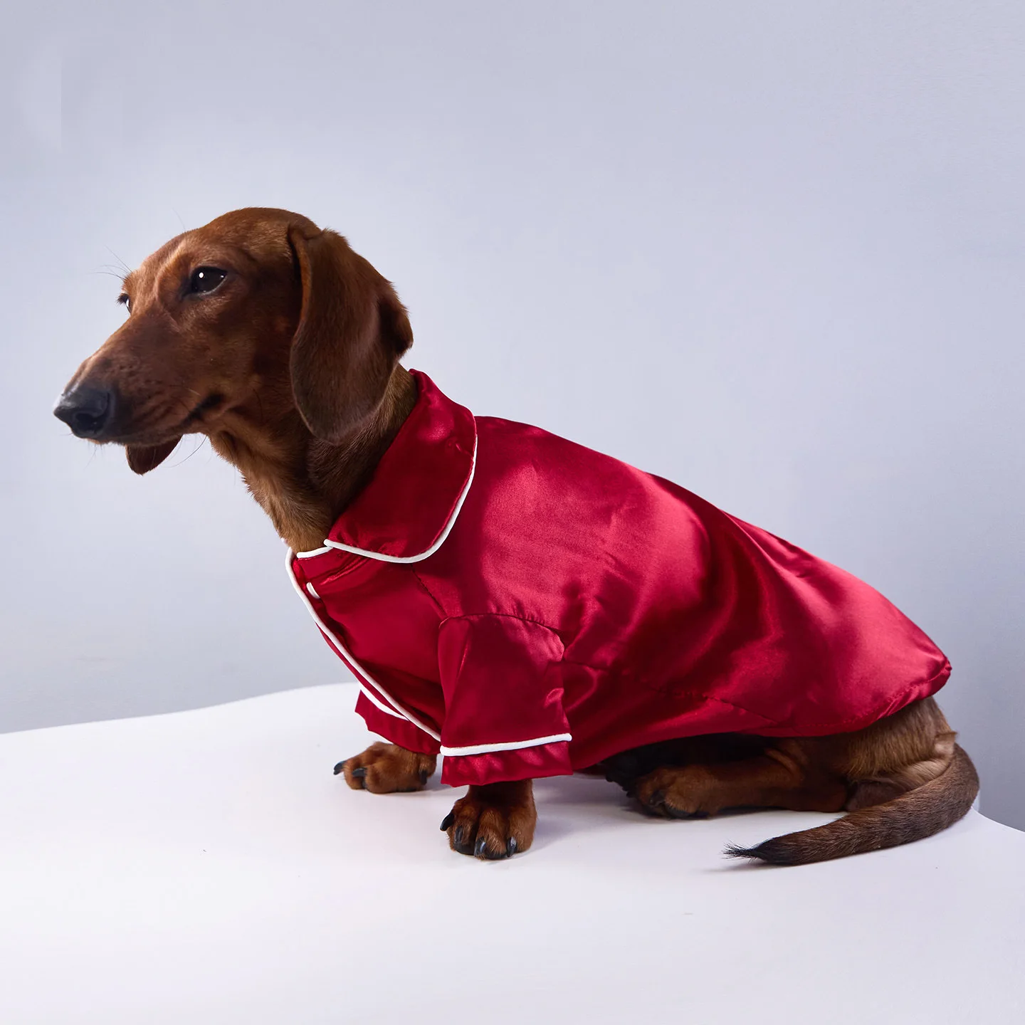 Monos de seda para perros pequeños y medianos Badger, Dachshund - imagen 2
