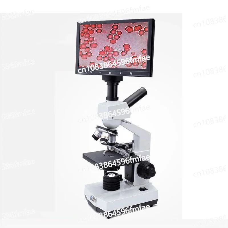 Blood Analyzer Beauty Salon for Mite Blood Cell Detection, Medical Optical Electron Microscopy