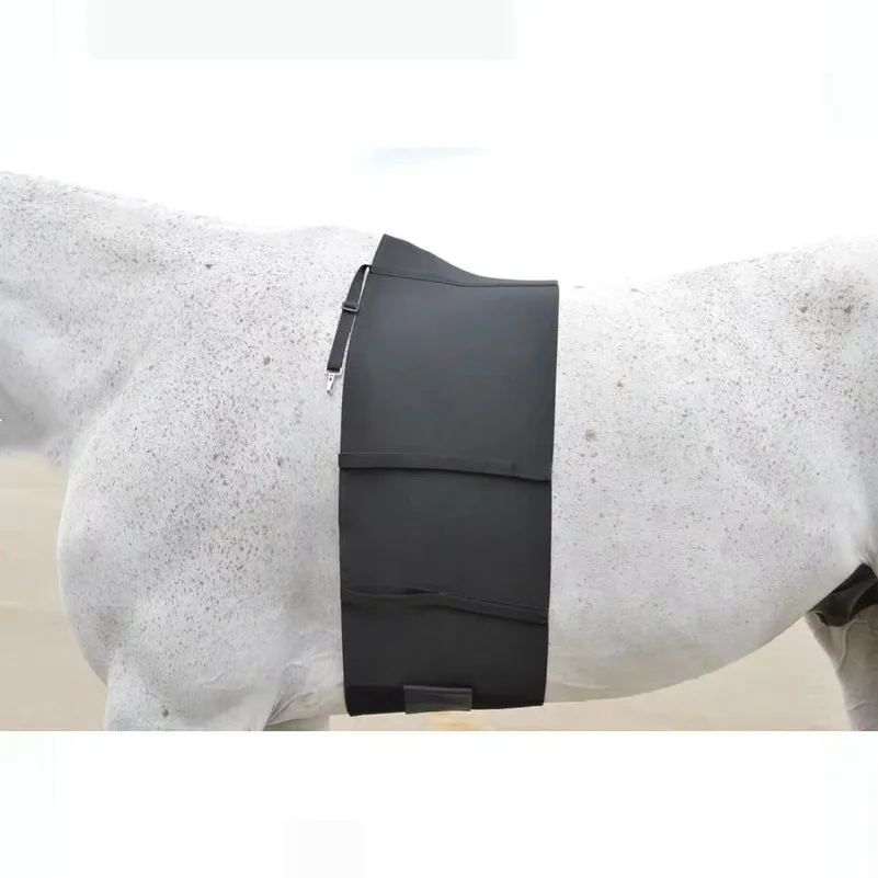 Horse Belly Belly Guard, Elastic Bandage, Anti-spur Injury Protection, TNS Harness