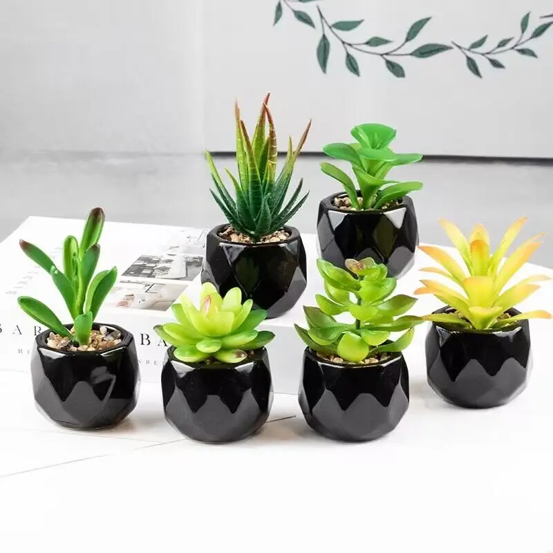 Künstliche saftige Bonsai-Pflanzen mit Keramiktopf für Raumdekoration, Bürotisch, Hausgarten-Dekoration – Detail 20