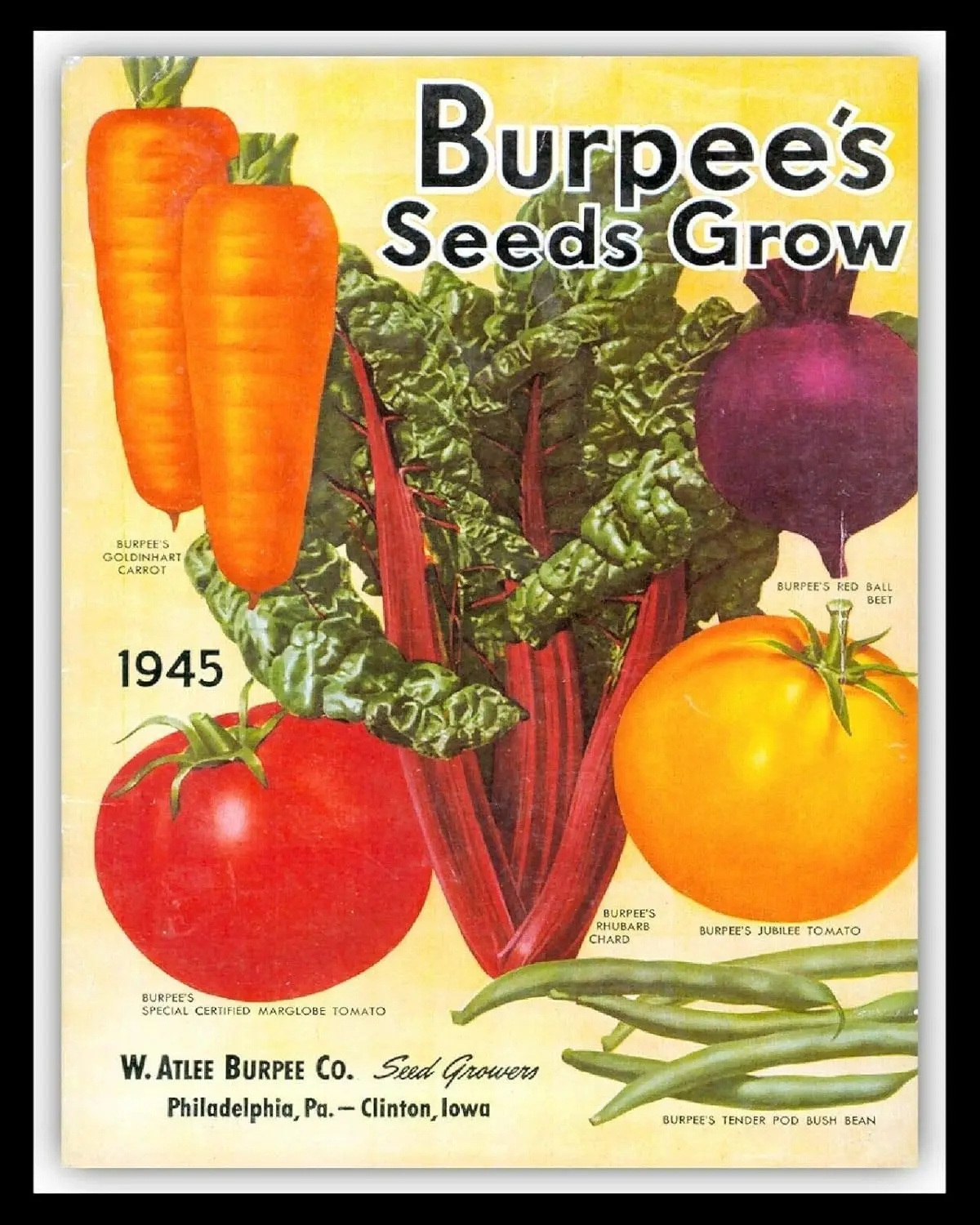 Tin Sign For Plant Vegetable Seed Catalogue Cover Garden Greenhouse Allotment Sign 8x12 in Wall Decor sign