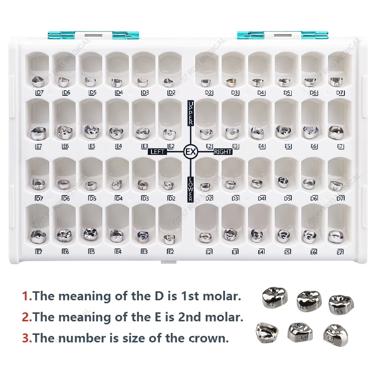 

Dental Stainless Steel Kids 48Pcs Box Crown Primary Molar Temporary Crowns Dentist Tools