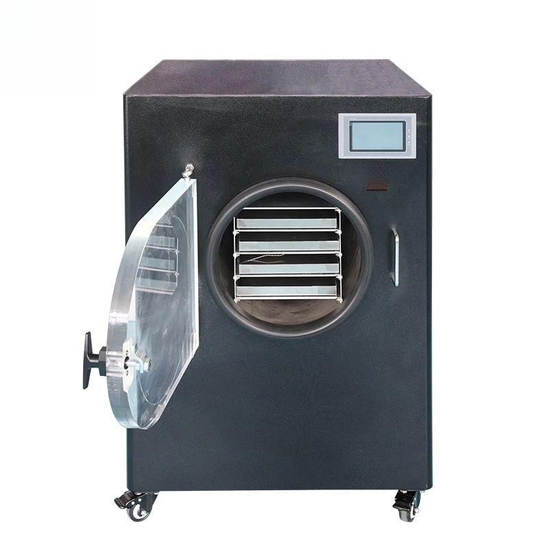 

-80C Degree 6L Manifold Rack Heating Laboratory Low Temperature Vacuum Freeze Dryer