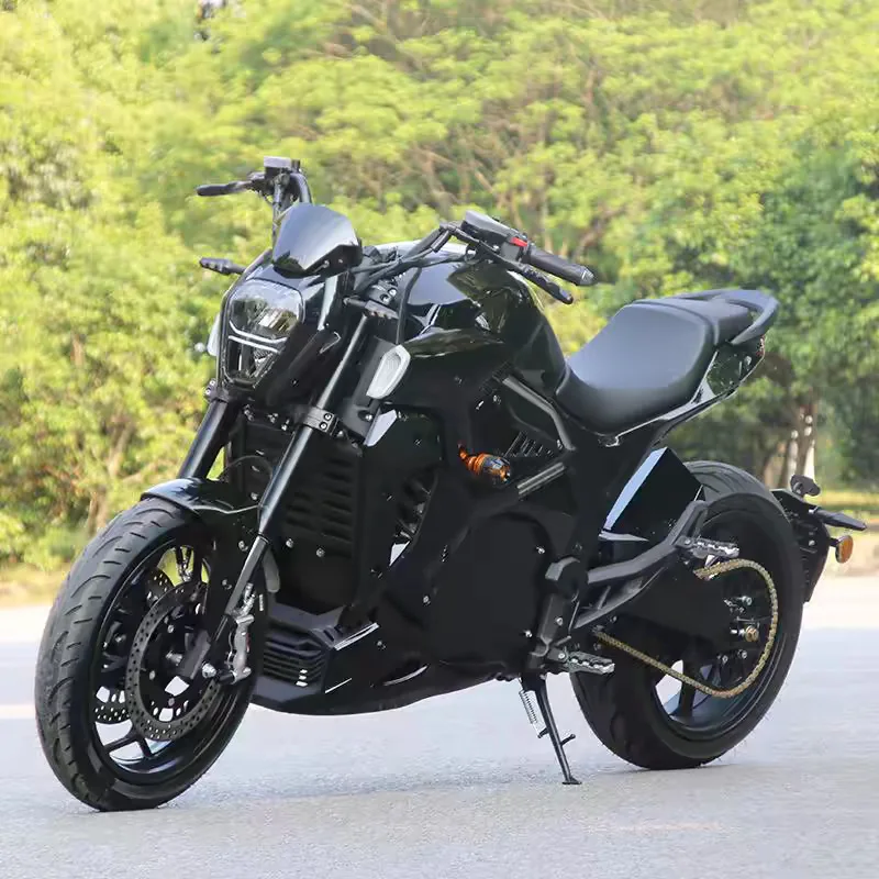

STLF2025 Customized OEM/ODM 5000W 120km/h Speed Long Range Electric Sport Motorcycle for Adults