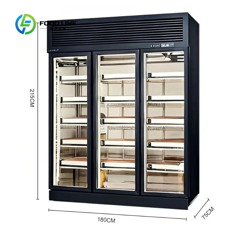 Dry Age Curing Chamber Customized Commercial Salami Cheese Meat Beef Steak Storage Fridge Refrigerator Cabinets