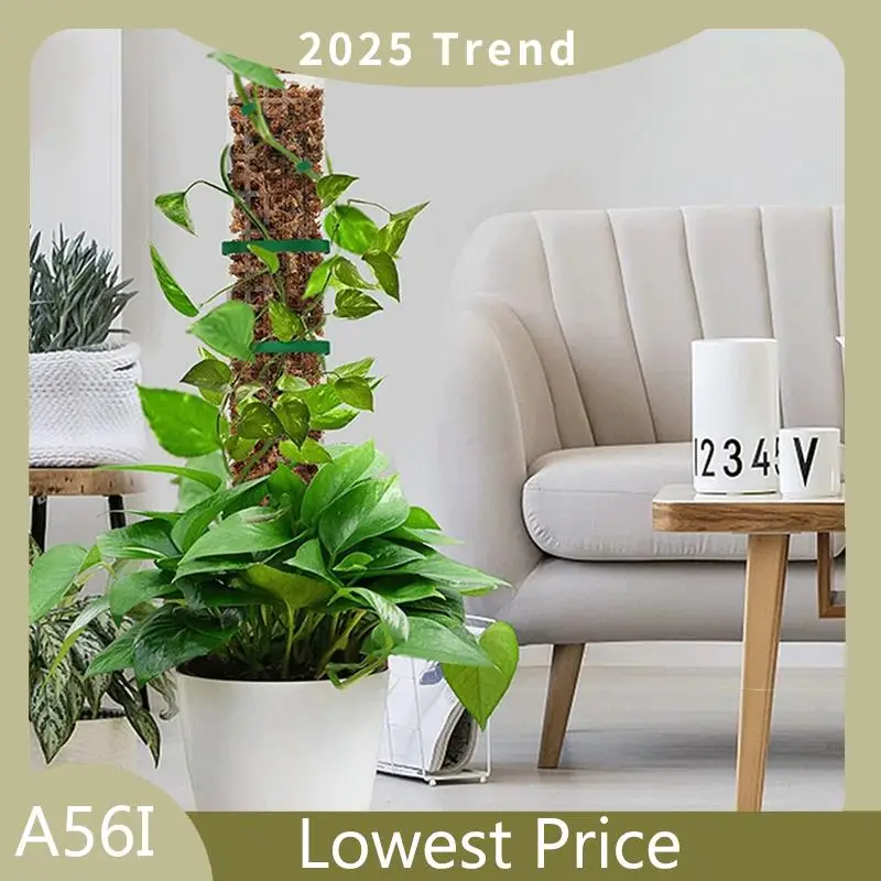 

A56I Top Moss Pole For Plants Plant Support Poles Indoor Potted Plant Sticks Support Train Creepers Plants To Grow Upward