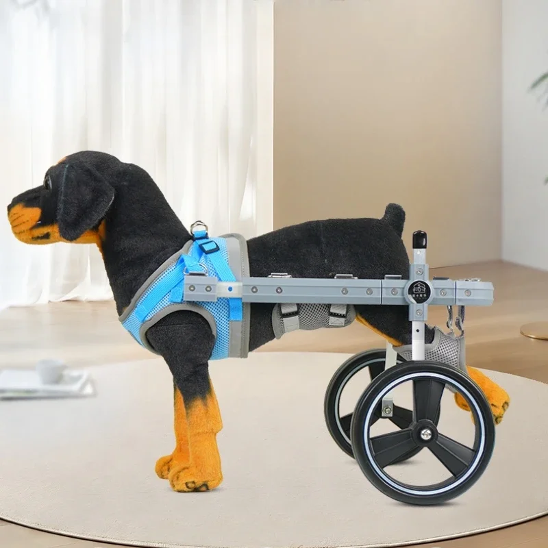 Light Weight Hind Limbs for Pets, Paralysis for Dogs, Disabled Cat, Teddy, Rehabilitation Assist Cart, Small and Medium Pet