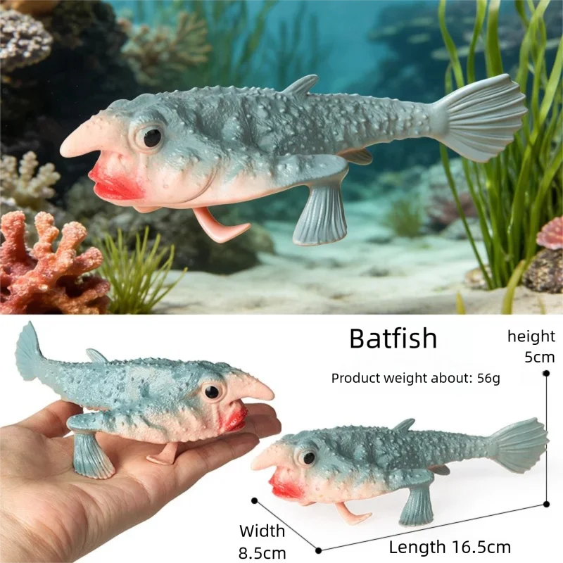 Realistische Meerestier-Figur Tiefsee-Kreaturen-Modell Ozean-Fisch-Figuren Blobfisch-Sammlung Geschenk-Dekoration – Detail 4