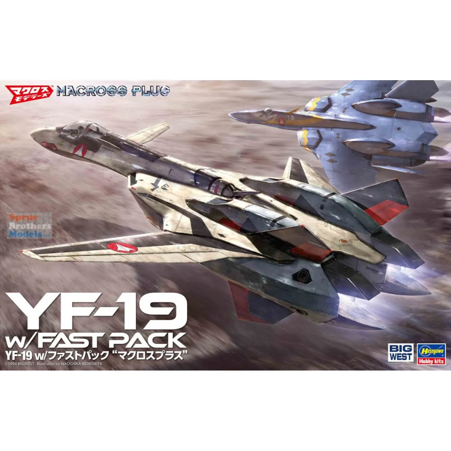 static assembled model Hasegawa-65888 1/48 The Super Dimension Fortress Macross Plus YF-19 w/Fast Pack model kit