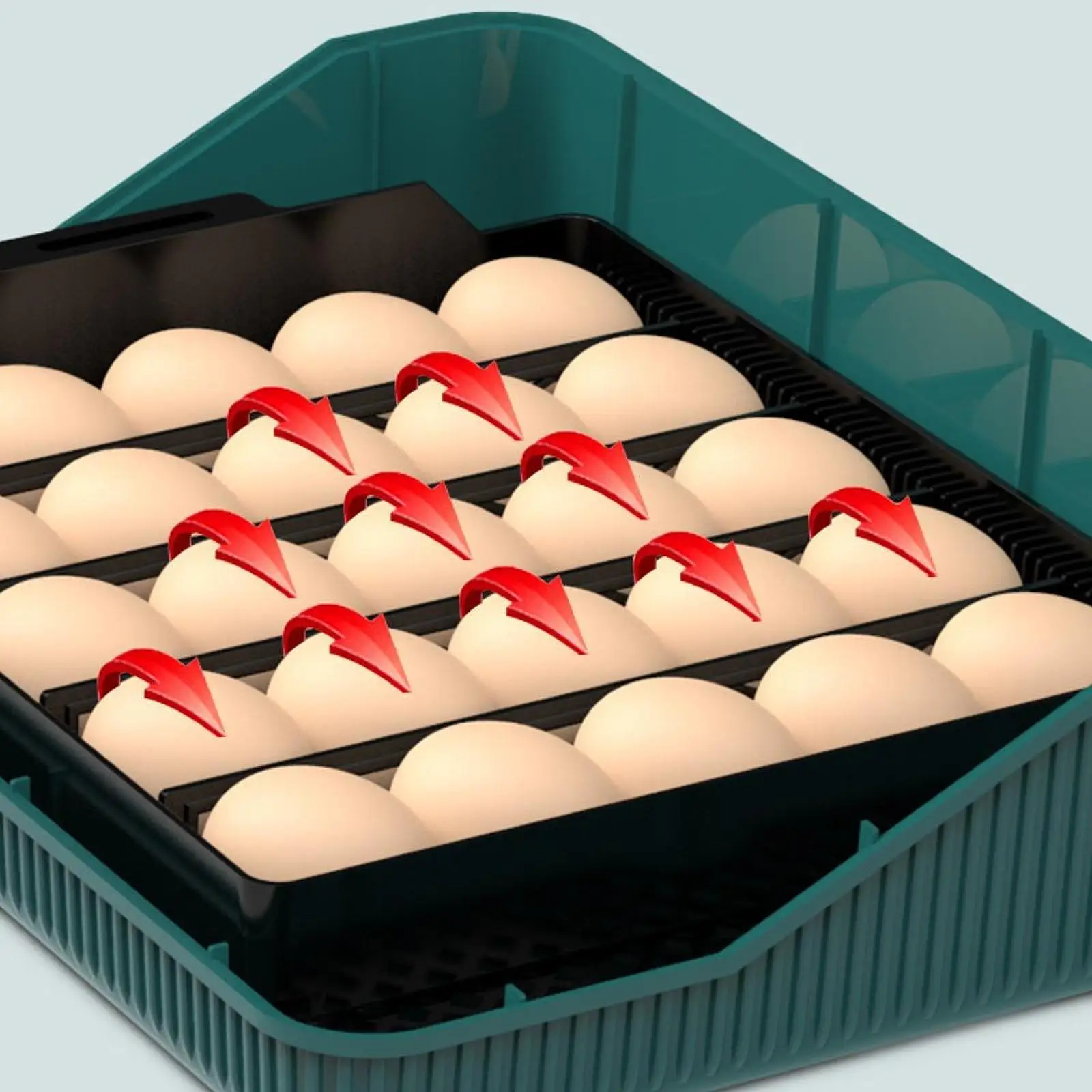 

Многофункциональный инкубатор для яиц: полностью автоматическая машина для выведения птенцов с поддоном для воды для куриных, утиных, гусиных, перепелиных и папугаиных яиц