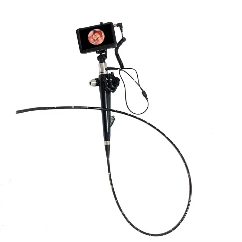 LTEG30 Multifunctional Portable Endoscope, Flexible Video Gastroscope, Enteroscope, with Mini Pump