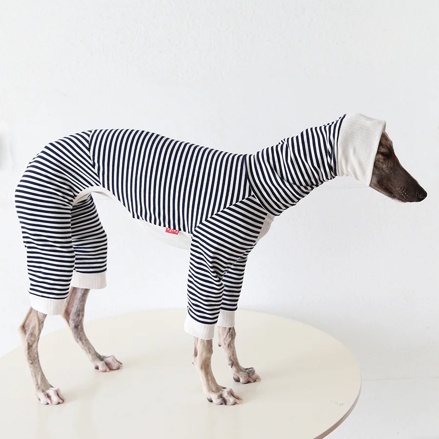 Jersey suave para galgos – Suéter de algodón para perros en invierno - imagen 3