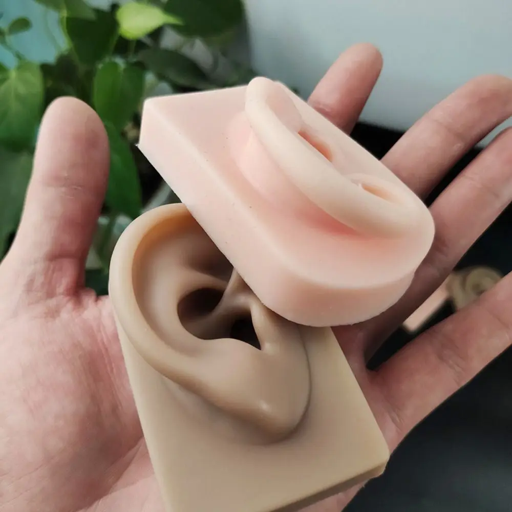 

Practice for Hearing Teaching Mannequin Teaching Tools Body Silicone Ear Model Simulation Ear Fake Ear Jewelry Earrings Display