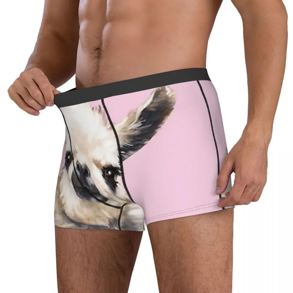 Boxer Underpants Shorts Llama Alpaca Animal Panties Men's Breathable Underwear for Homme Man Boyfriend Gift