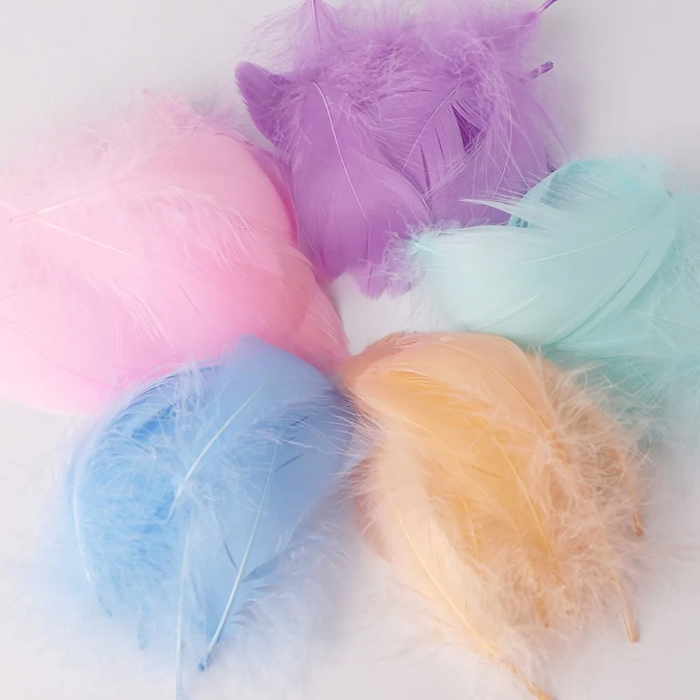 100pcs Natural Goose Feathers Headdress Floating Small Swan Feather Plume 7-12cm Colourful Dream Catcher Feathers for DIY Craft