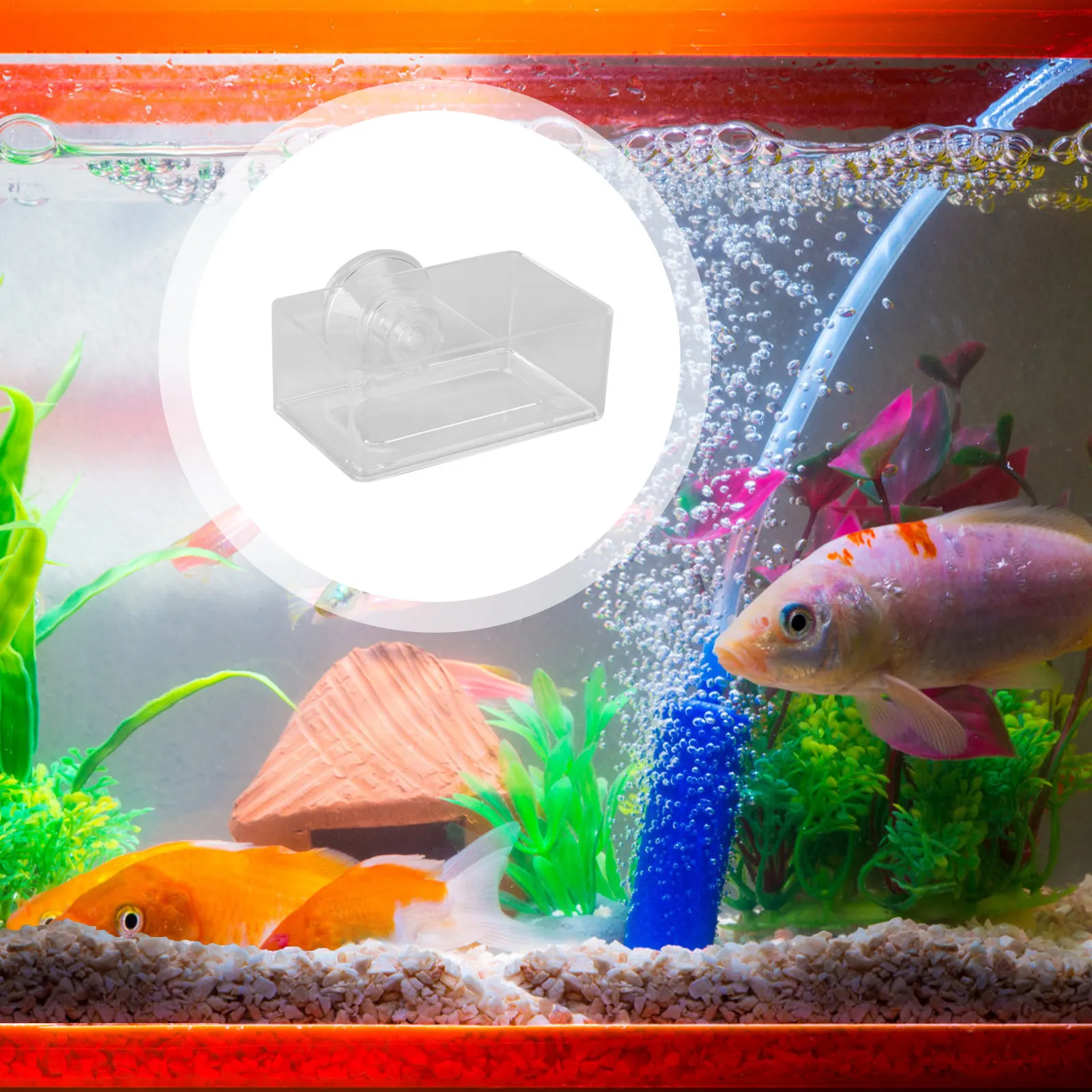 1Pcs Fish Feeding Ring Acrylic Fish Tank Feeder S Size Transparent Aquarium Food Feeder Anti-Floating Sturdy Design
