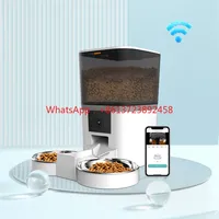 6L  Automatic Auto Cat Intelligent Timer Smart Pet Feeder Wifi Camera Smart Automatic Cat Pet Feeder With Camera