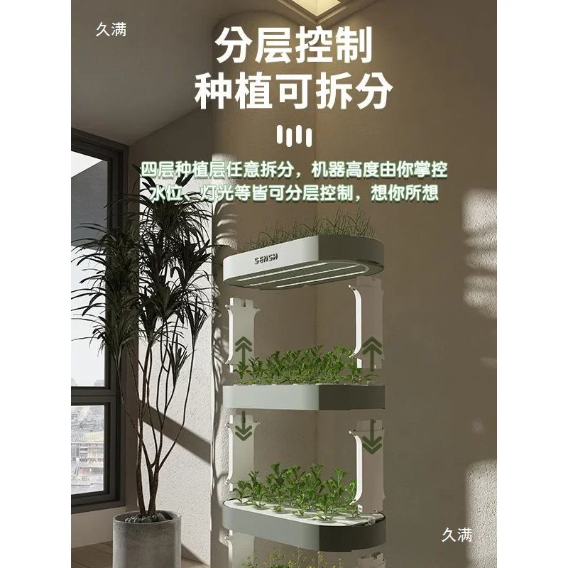 

Indoor Multi-Layer Hydroponic Vegetable Cultivation System Soilless Gardening Equipment for Fresh Produce Growing
