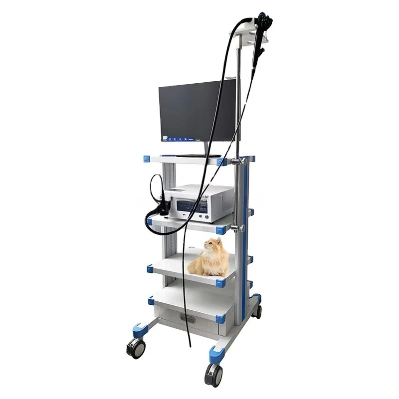 EURPET full high definition endoscope  system LED cold light source medical cart for complete endoscope tower equipment se