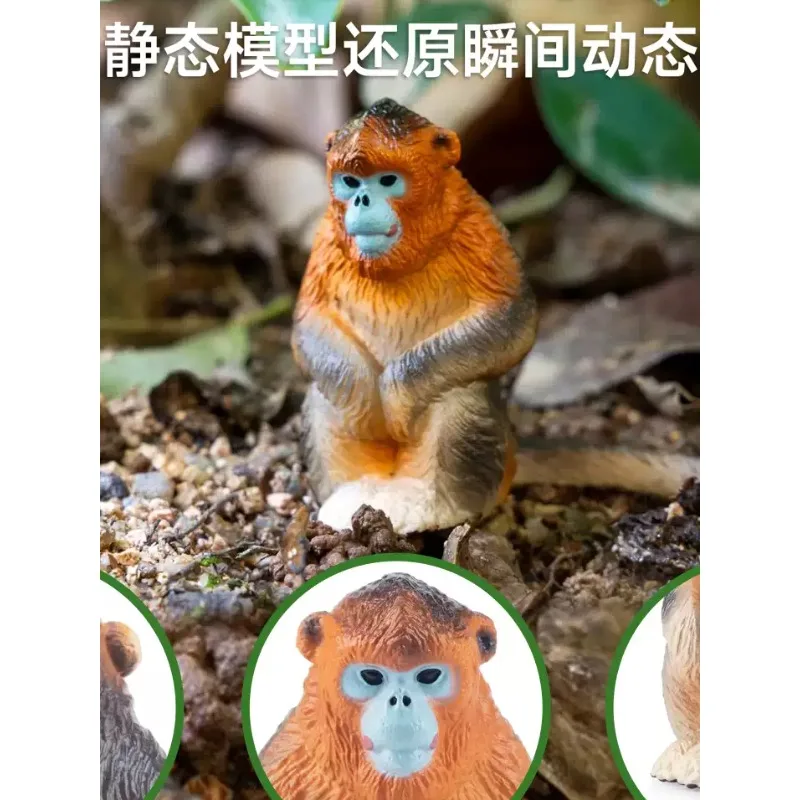 Simulation Primate Animal Figurine Plastic Monkey Ornament Educational Cognitive Toy Kids Desktop Display Decor