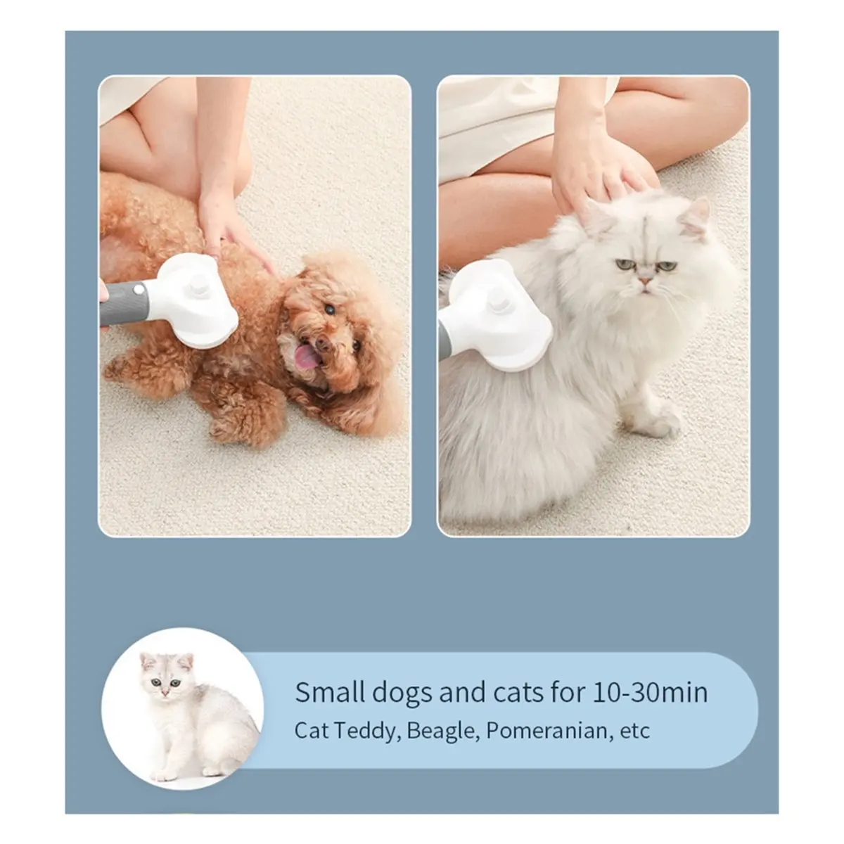 ^&*Summer sale- 3in1 Pet Dog Dryer Quiet Dog Hair Dryers and Comb Brush Grooming Kitten Cat Hair Comb Puppy Fur Blower US Plug P