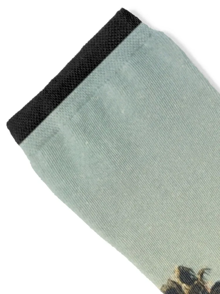 In-N-Out Burger Logo Socks sports and leisure happy Wholesale Heating sock Socks For Men Women's