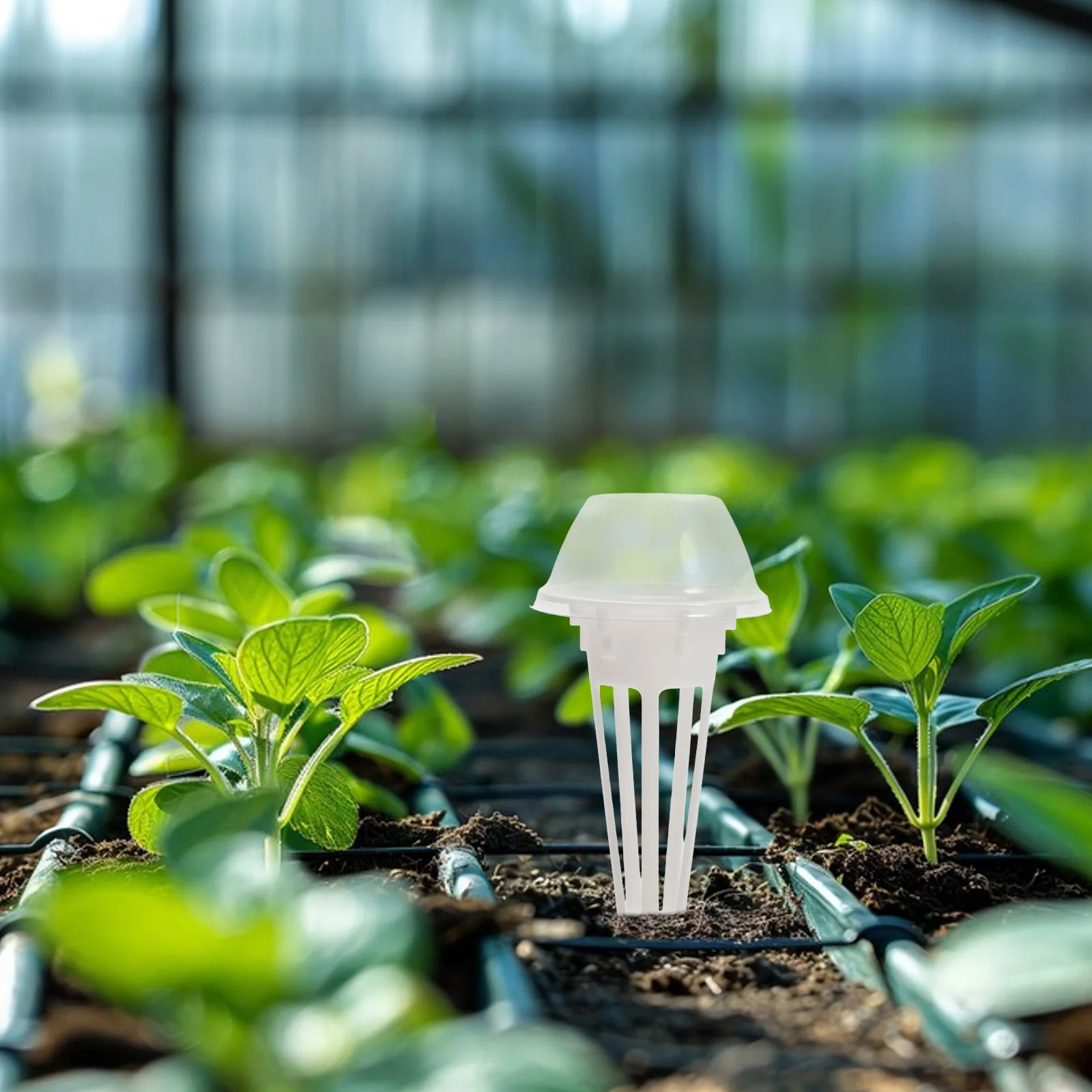 

30set Hydroponic Growing Kit Transparent Dome Indoor Plant Germination Reusable Microgreens Sprouting Trays Hydroponics System