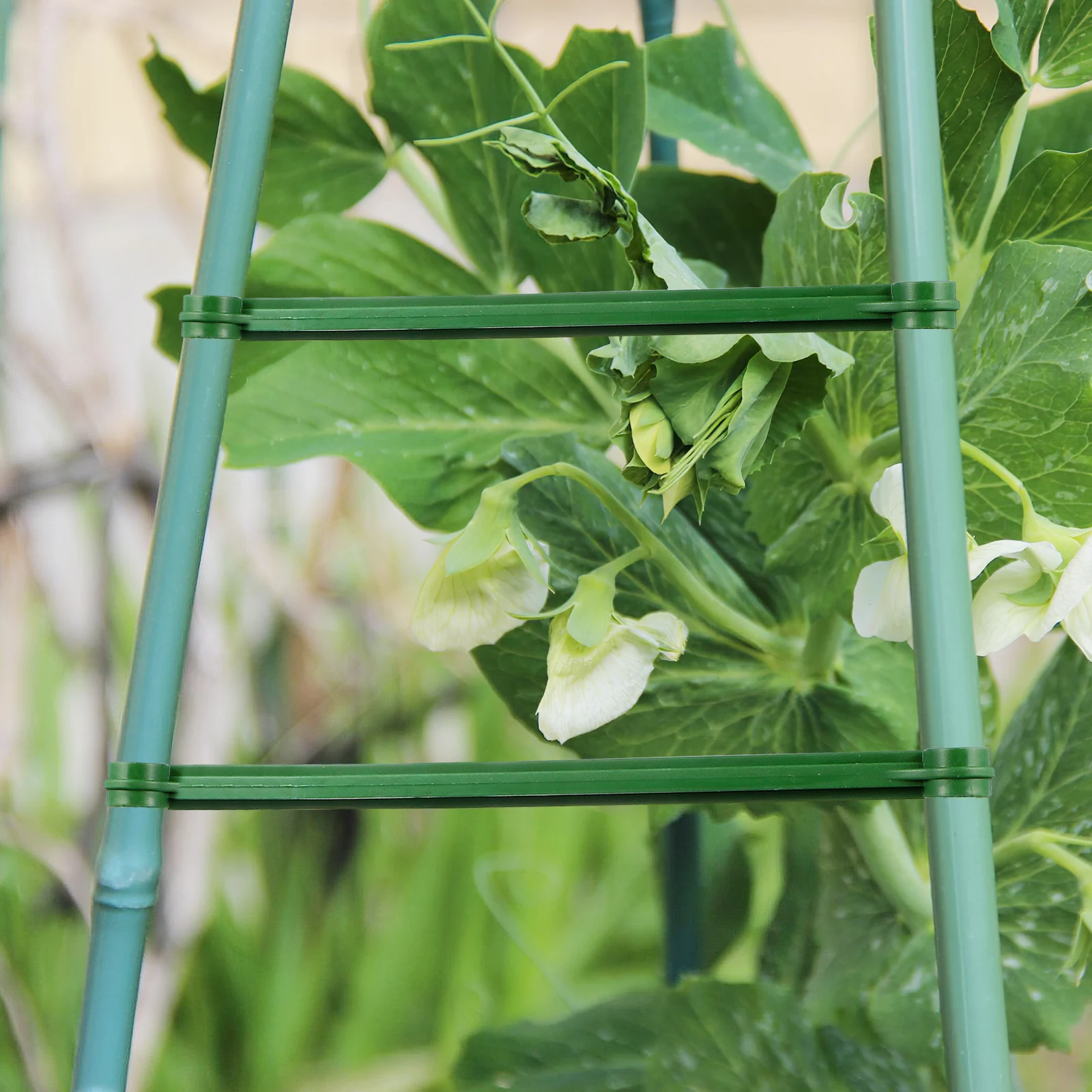 

24pcs 30Mm Plastic Connecting Rods Plant Stands Durable Lightweight Reusable Garden Support Brackets Tomato Cucumber Vine