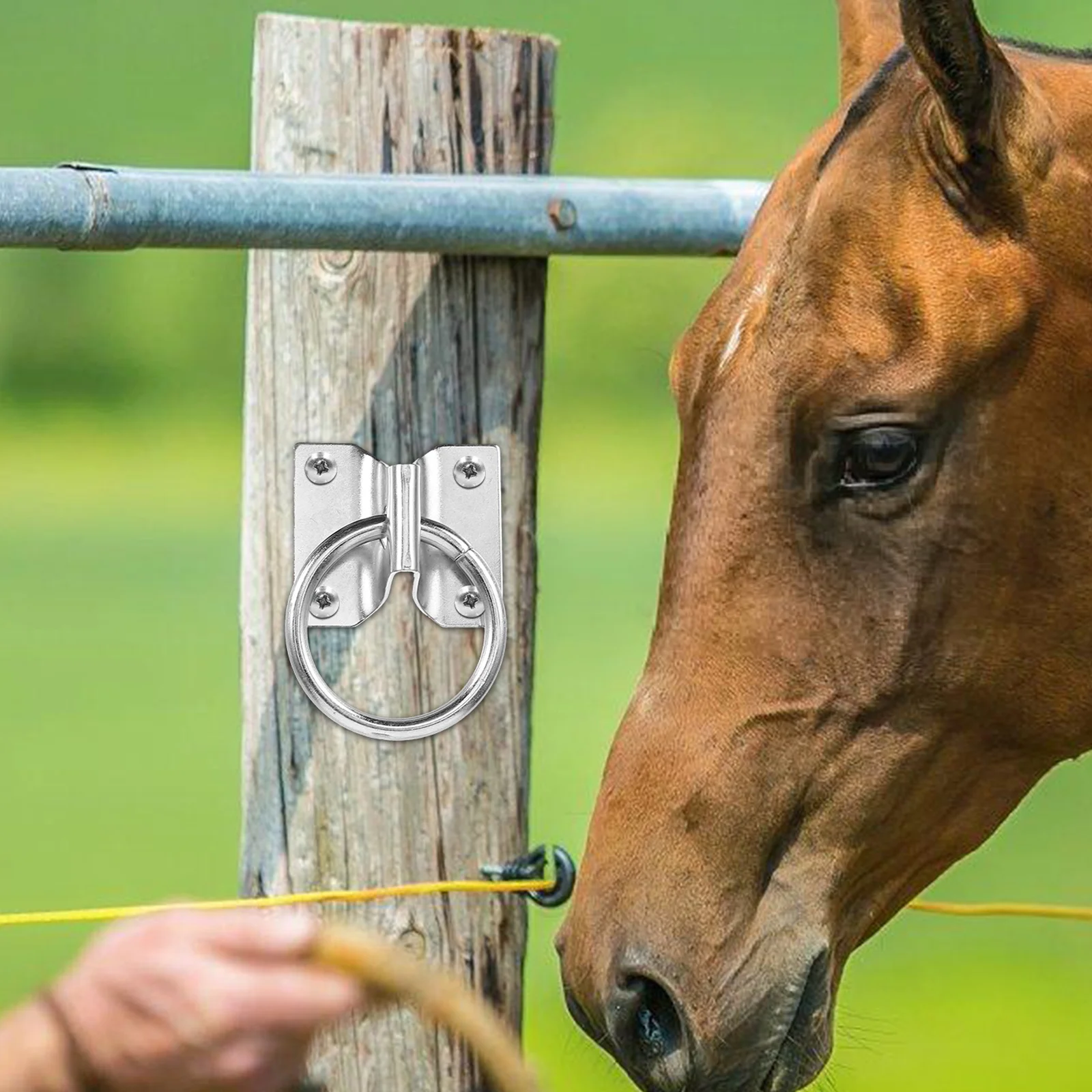 4 قطع من حلقة ربط الحصان، تصميم محمول مريح لأنشطة الفروسية، معدات كشك خفيفة الوزن