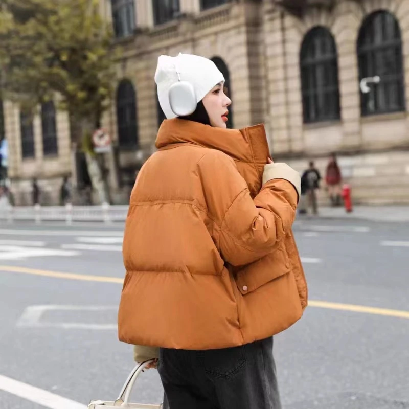 Jaqueta curta quente feminina, jaqueta de colarinho grosso, versão coreana da moda, casaco casual Parker, bateu a cor, 2024