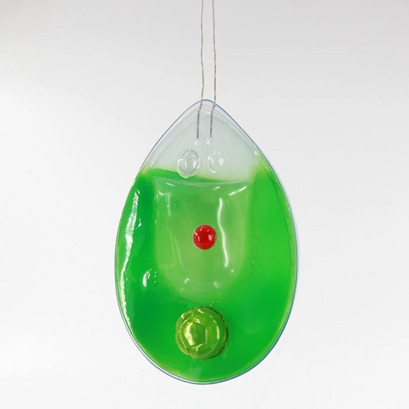 Single Cell Plant Anatomical Model Chlamydomonas Model for School Teaching