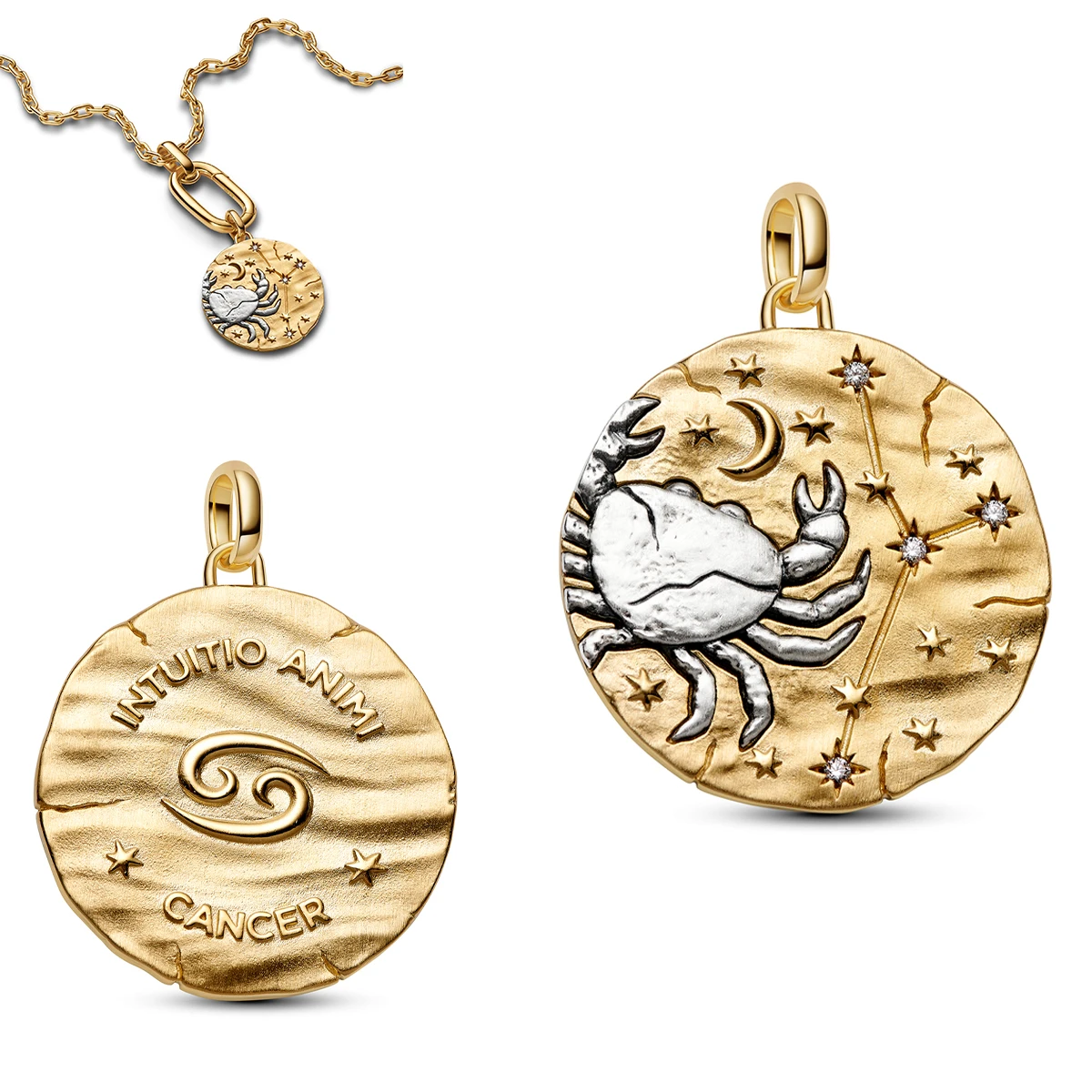 New Original 925 Sterling Silver The Twelve Zodiac Signs Cat Flower Earrings Pendant Necklace For Women's Jewelry Birthday Gift
