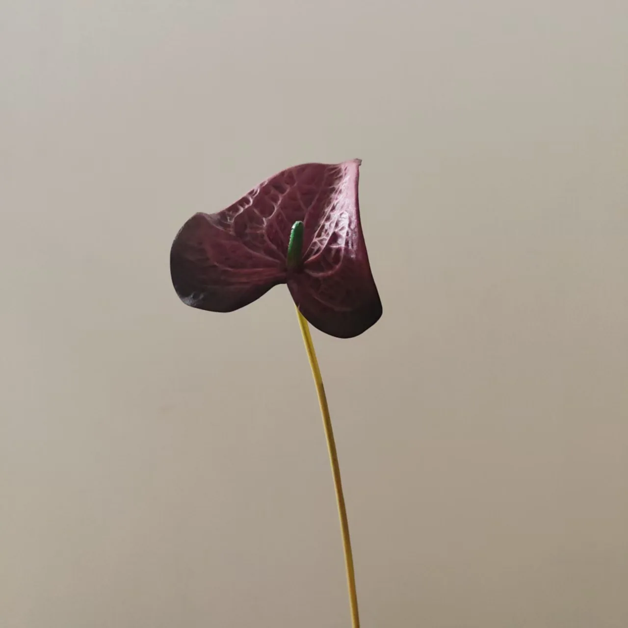 10 Stück Künstliche EVA-Anthurienblumen für Heimdekoration, Palmenblumen, Hochzeits-Blumenarrangements, Brautstrauß-Zubehör – Detail 18