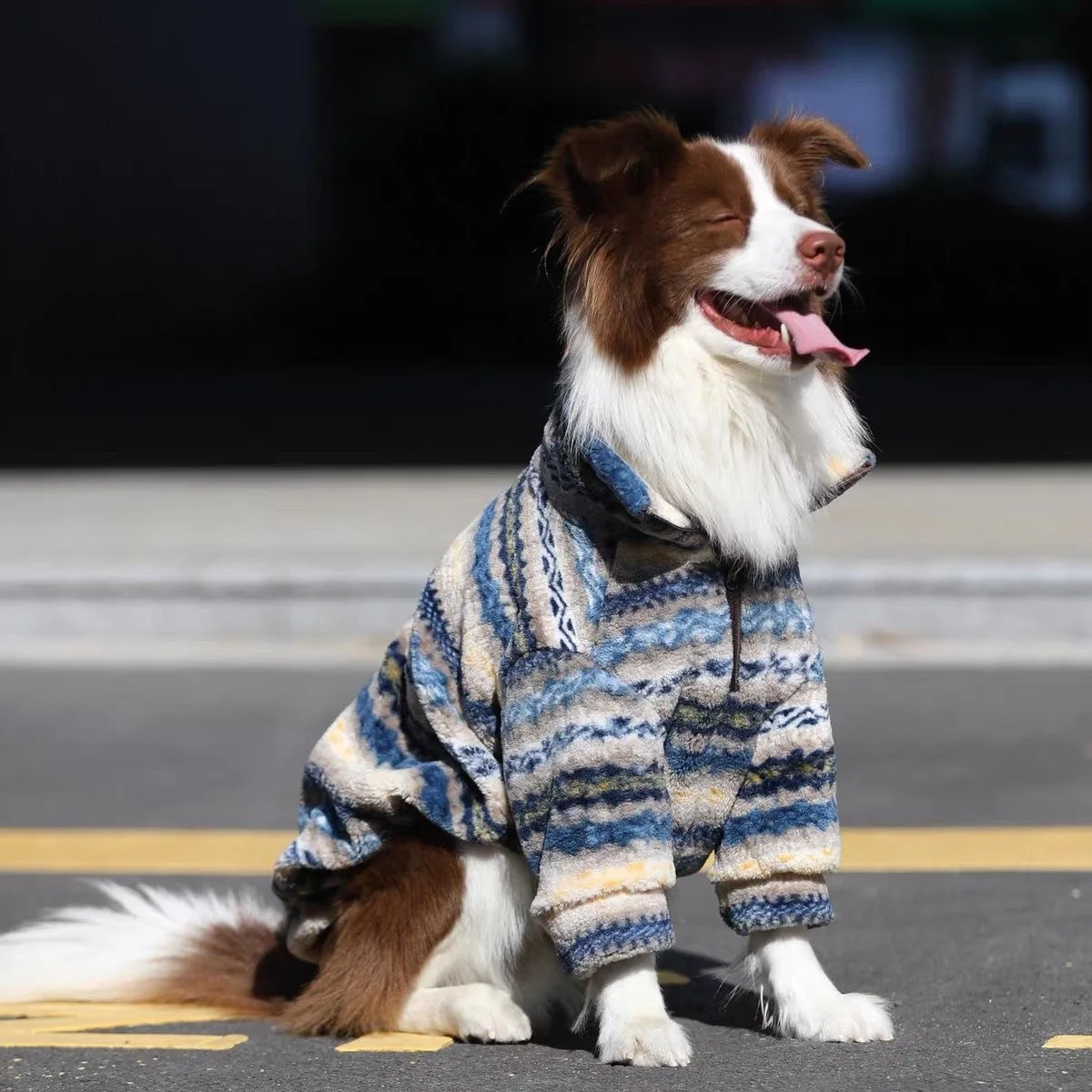 Thumbnail 3 - #19 Trending Dog Jumpers Right Now