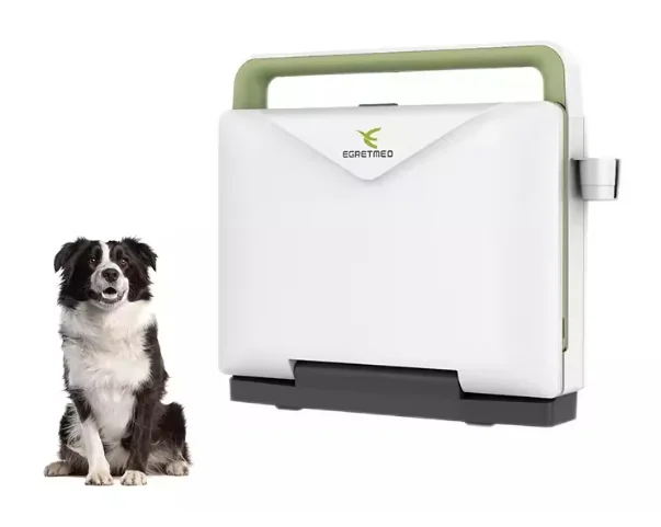 AMAIN Tragbare UltraSound-Scanning-Maschinen 3D 4D-Ultraschallscanner für Menschen oder Tiere