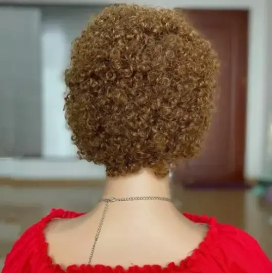 Peluca corta Afro rizada para mujeres, pelucas de cabello humano, corte