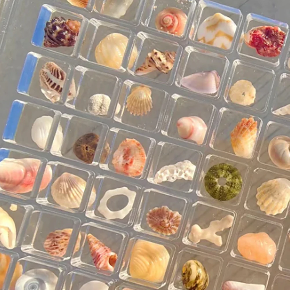 36/64/100 Grids Muschel Display Box Magnetische Muschel Klar Seestern Schmuckstück Organizer Mini Acryl Schmuck Nagel Vitrinen