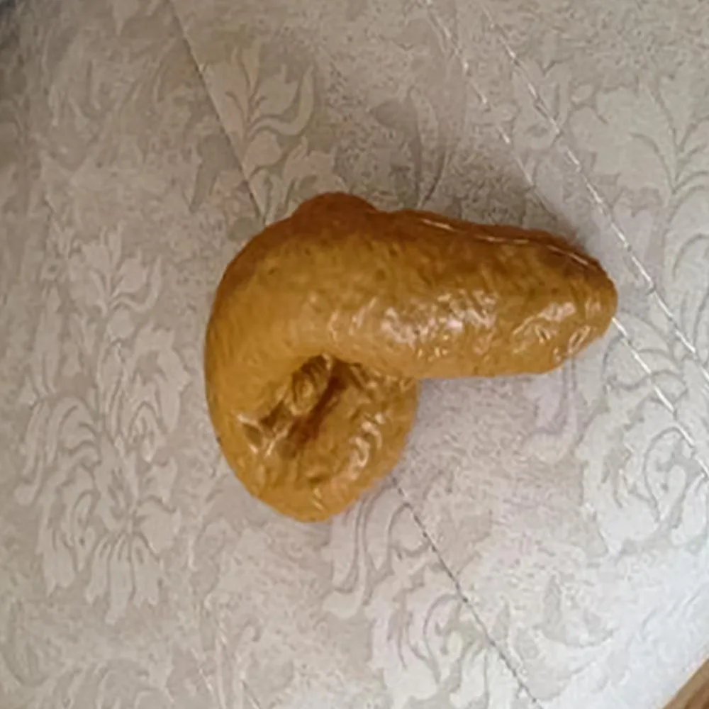 Fake Shit Realistic Shits Prank Fake Poop Piece of Shit Novelty Realistic Fake Turd Poo Brown Amazing Turd Gag Prank