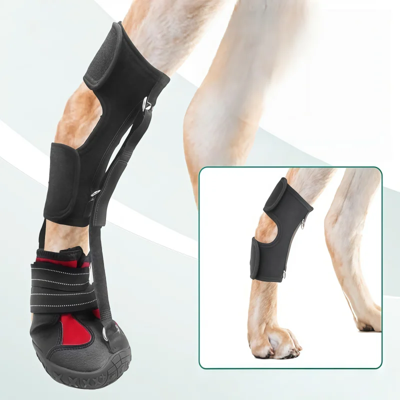 Thumbnail 3 - #42 Best Dog Boots to Buy In 2026