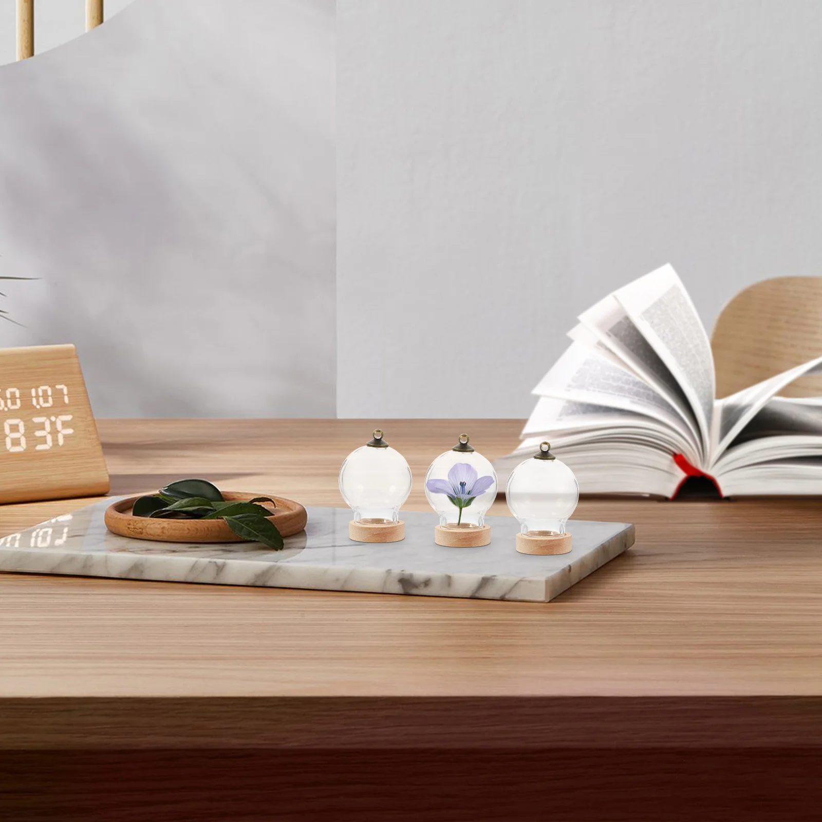 3 قطع من قبة زجاجية على شكل زهرة الحياة الأبدية، حافظة عرض شفافة، قاء زجاجي صغير مع قاعدة لتزيين سطح الطاولة، منظر طبيعي صغير