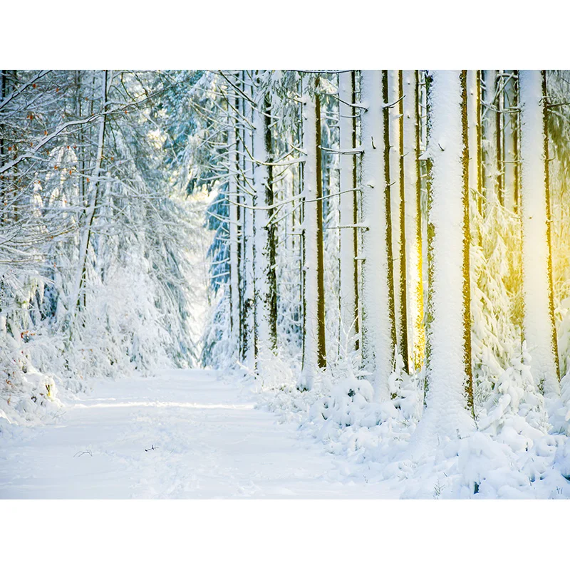 Winter Forest Snowcovered Road Photography Backdrops Blurred Landscape Snowflakes Road Spruce Trees Photo Background XD-03