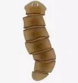 Planaria b2