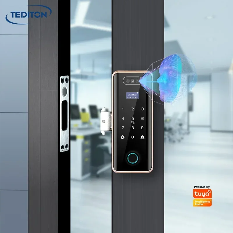 Tediton Seguridad Pantalla táctil Control remoto Contraseña digital Reconocimiento facial Cerradura de puerta de vidrio con huella digital