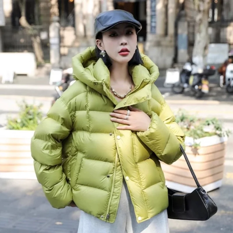 

Women's Thick Loose Warm Hooded Down Jacket, Korean Simple Casual Snow Wear, Female Outerwear, Winter Coat, New