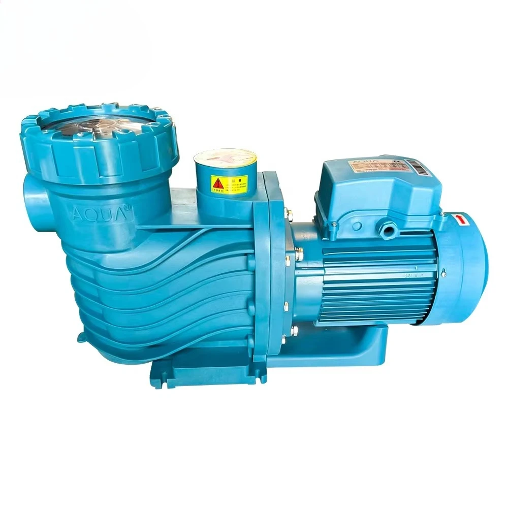 Single Phase Plug Powered Swimming Pool Circulating Pump AC220V/380V Reliable For Pool Circulation System
