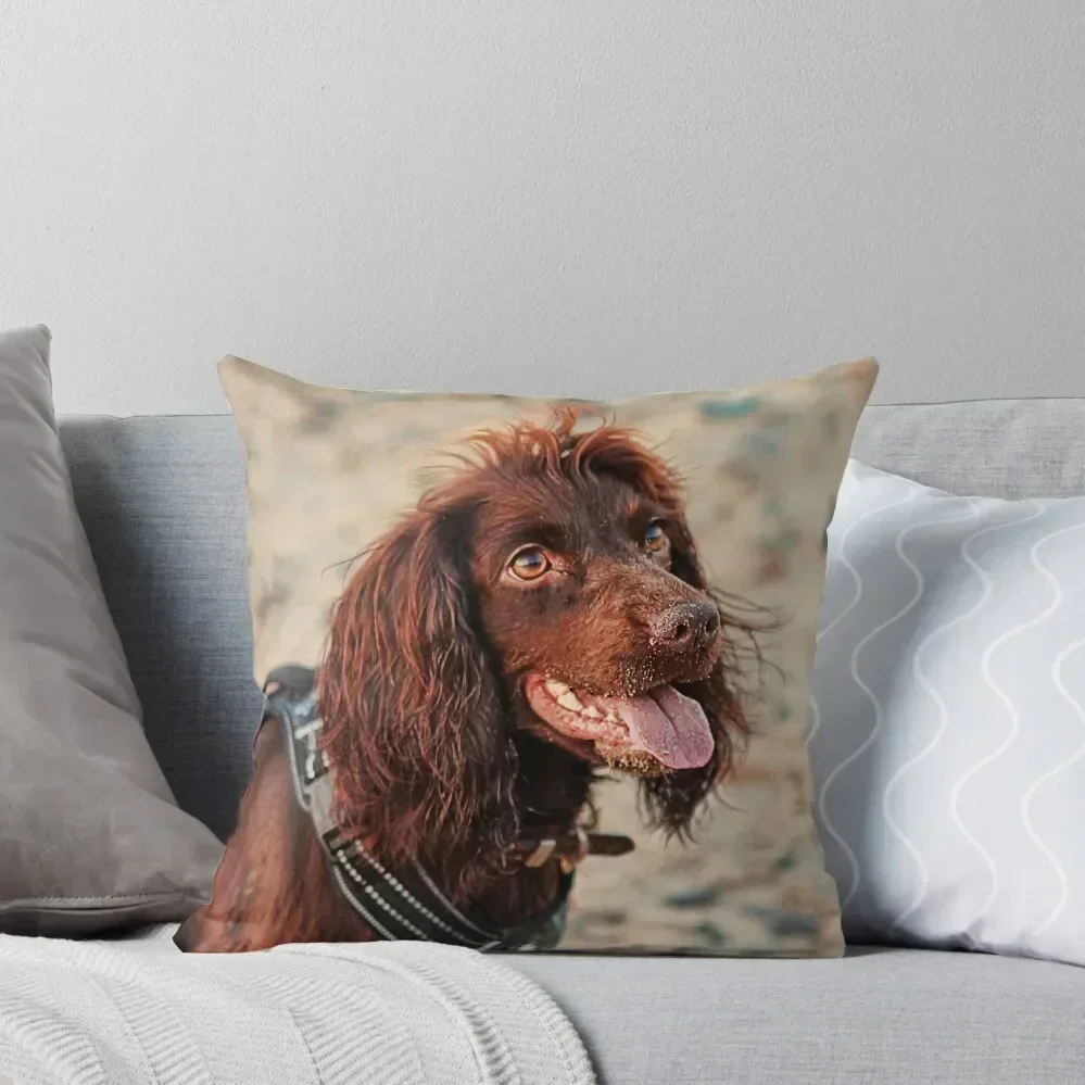 Working Cocker Spaniel Throw Pillow Cusions Cover Throw Pillow Christmas Pillows Sofa Cushions Cover pillow