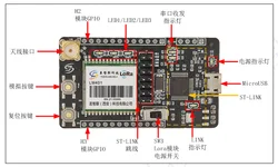 STM32WL WLE5 Open Source with ST-LINK Secondary Development LoRa Development Board LM401-Pro-Kit